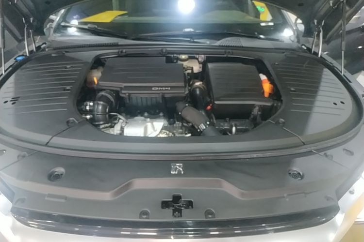 BYD Han 2024 car image #22