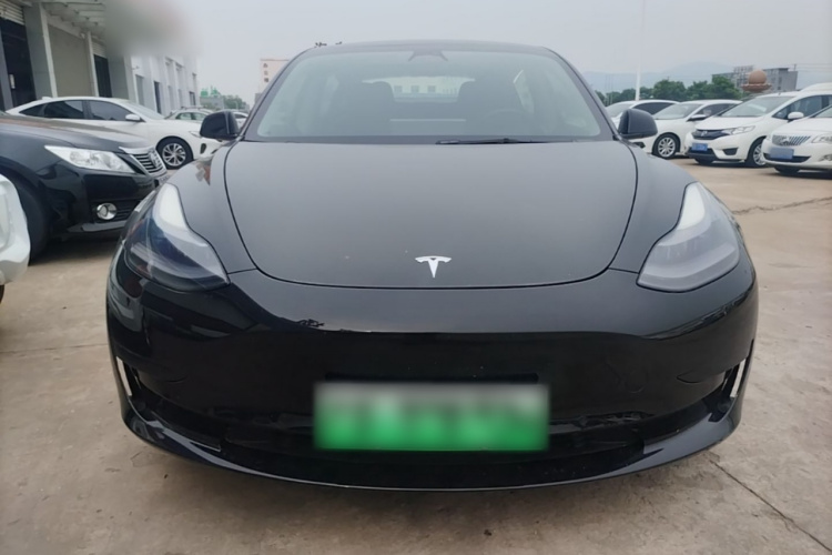 Tesla Model 3 2021 #3 Tesla Model 3 2021 car image #3