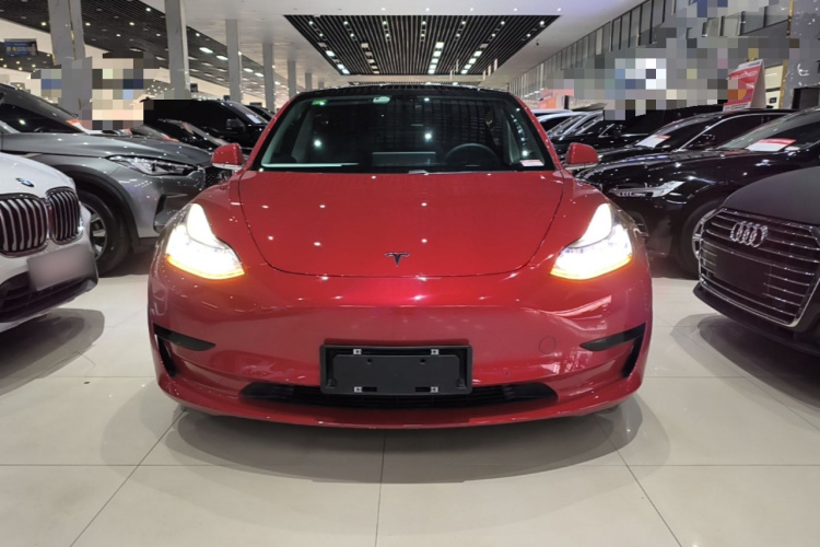 Tesla Model 3 2020 car image #3