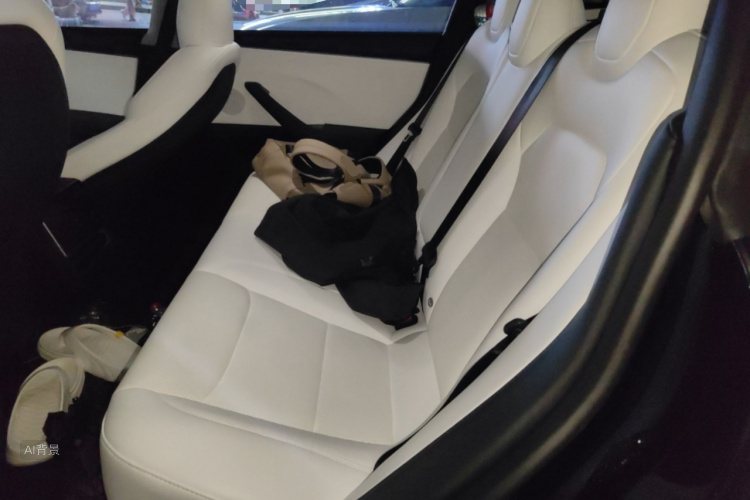 Tesla Model 3 2025 car image #19