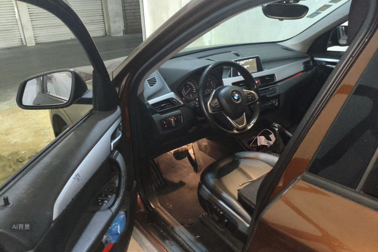 BMW X1 2017 car image #18