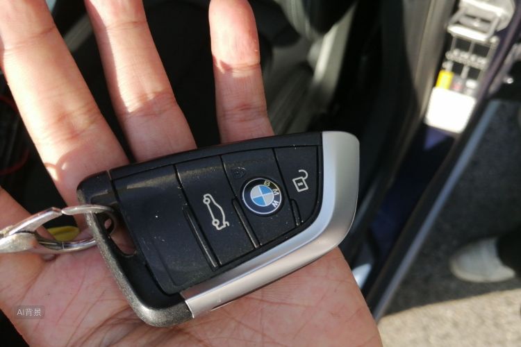 BMW X1 New Energy 2020 car image #10