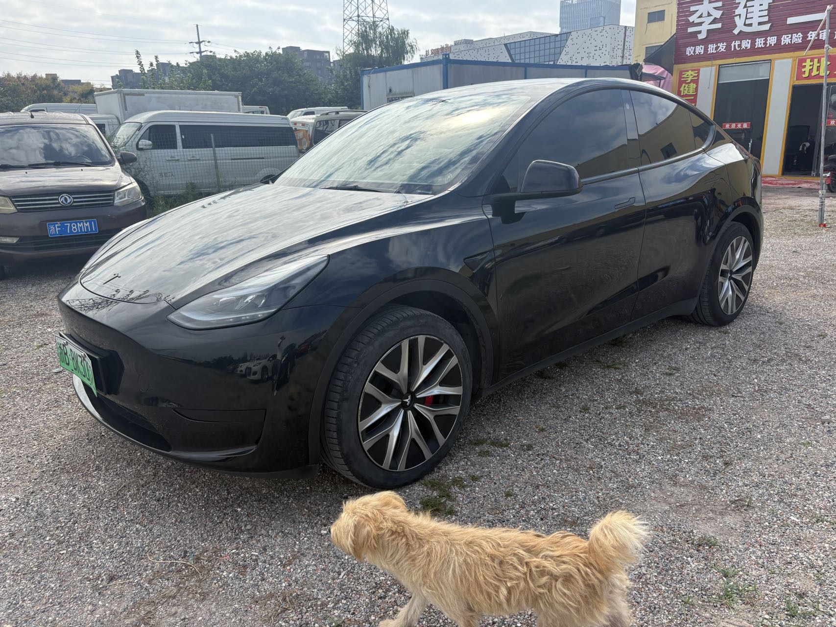 Tesla Model Y 2023 car image #3