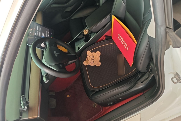 Tesla Model 3 2020 immagine di auto #19
