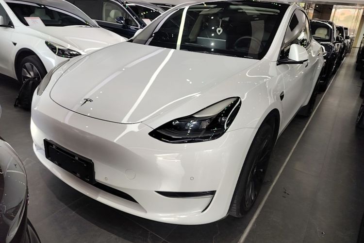 Tesla Model Y 2021 #2 Tesla Model Y 2021 car image #2