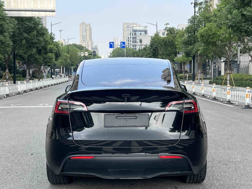Tesla Model Y 2023 car image #13