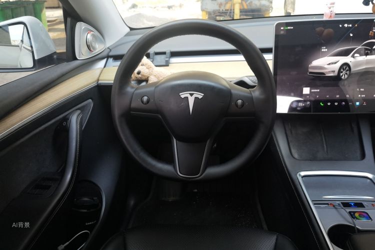 Tesla Model Y 2023 car image #12