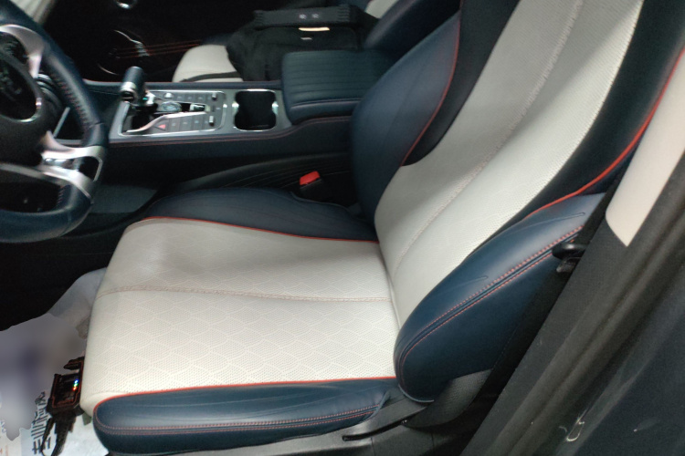 BYD Yuan Plus 2022 car image #15