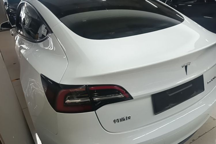 Tesla Model 3 2021 #5 Tesla Model 3 2021 car image #5