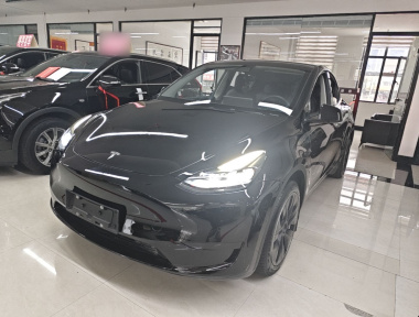 Tesla Model Y 2023 Tesla Model Y 2023 car image