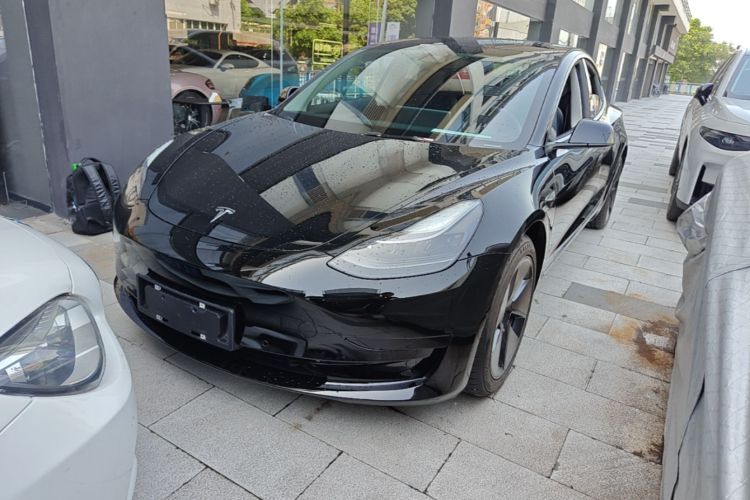 Tesla Model 3 2021 #2 Tesla Model 3 2021 car image #2