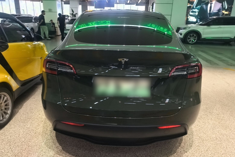 Tesla Model Y 2021 #6 Tesla Model Y 2021 car image #6