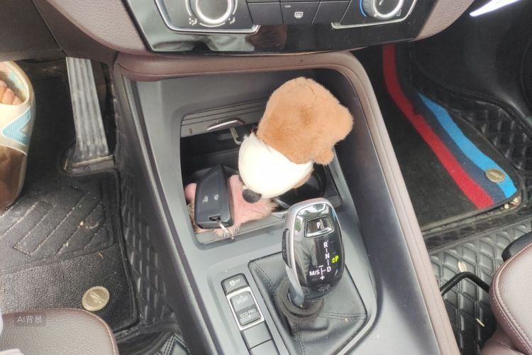 BMW X1 2021 car image #10