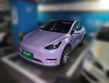 Tesla Model Y 2021 Tesla Model Y 2021 car image