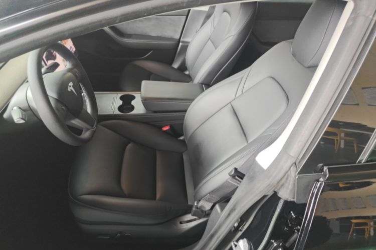 Tesla Model 3 2021 car image #15