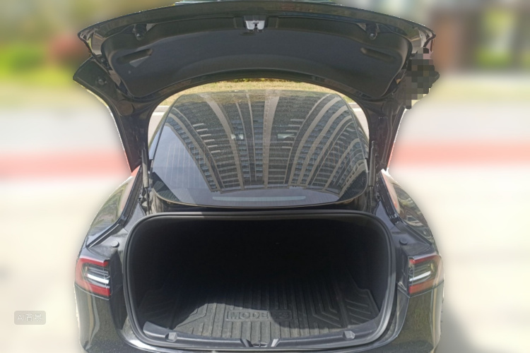 Tesla Model 3 2020 car image #21