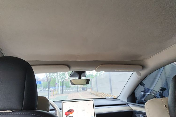 Tesla Model Y 2021 car image #20
