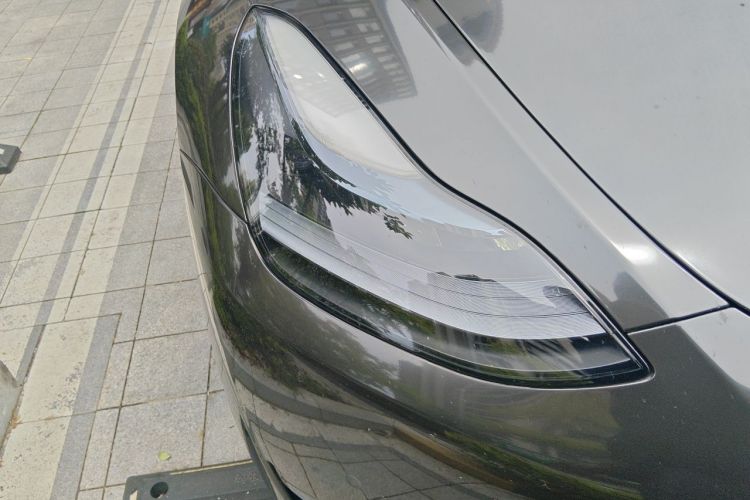 Tesla Model Y 2023 #8 Tesla Model Y 2023 car image #8