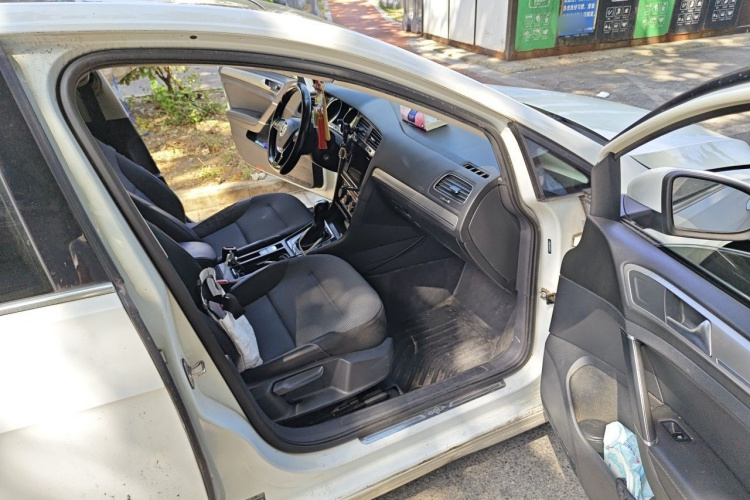 Volkswagen Golf 2019 #25 Volkswagen Golf 2019 car image #25