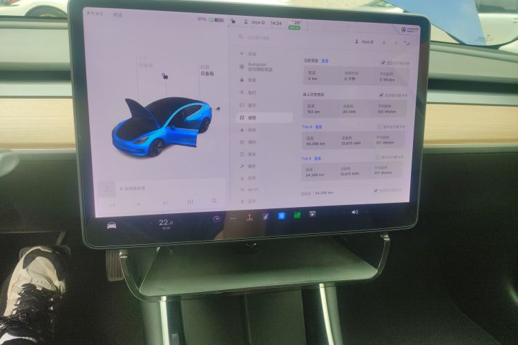 Tesla Model 3 2020 immagine di auto #17
