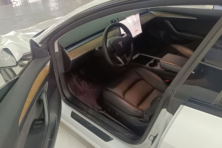 Tesla Model 3 2021 car image #16