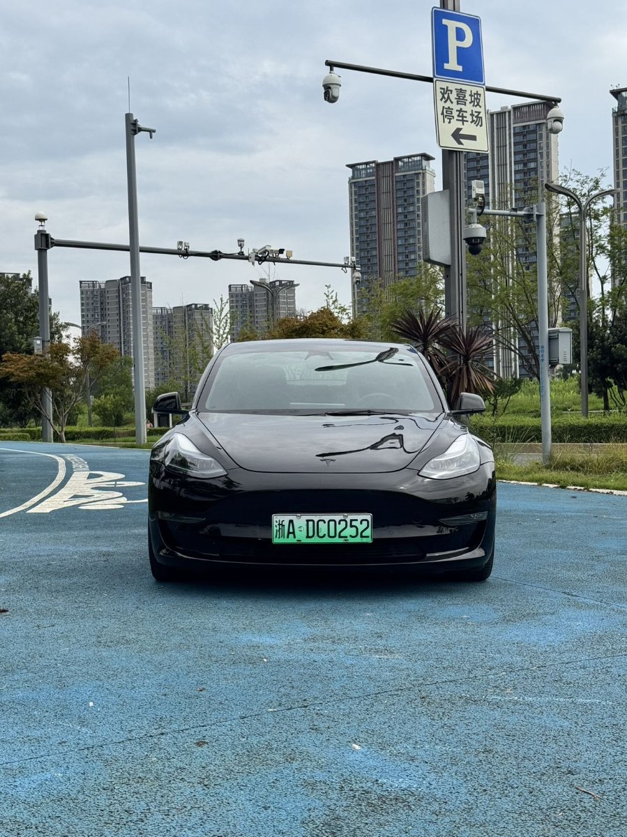 Tesla Model 3 2021 car image #2