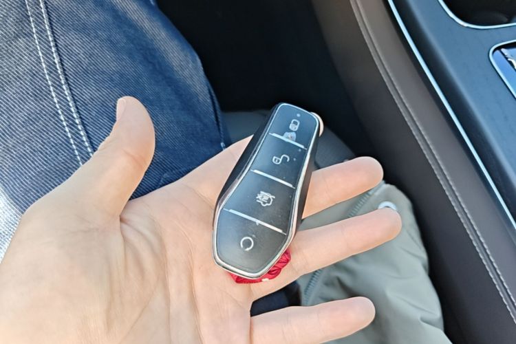 BYD Han 2022 #9 BYD Han 2022 immagine di auto #9