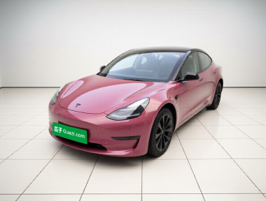 Tesla Model 3 2022 Tesla Model 3 2022 car image