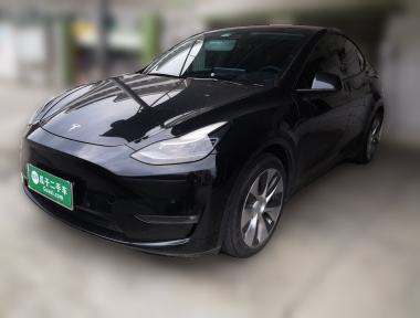 Tesla Model Y 2021 Tesla Model Y 2021 car image