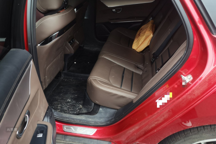 BYD Han 2022 car image #19