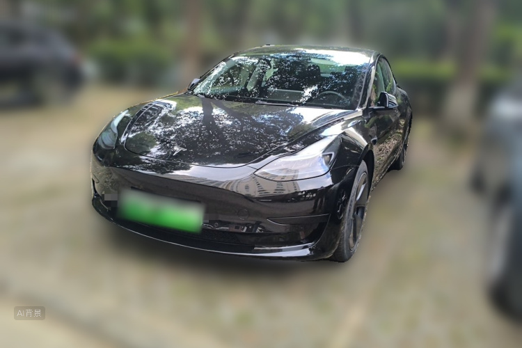 Tesla Model 3 2022 #2 Tesla Model 3 2022 صورة سيارة #2