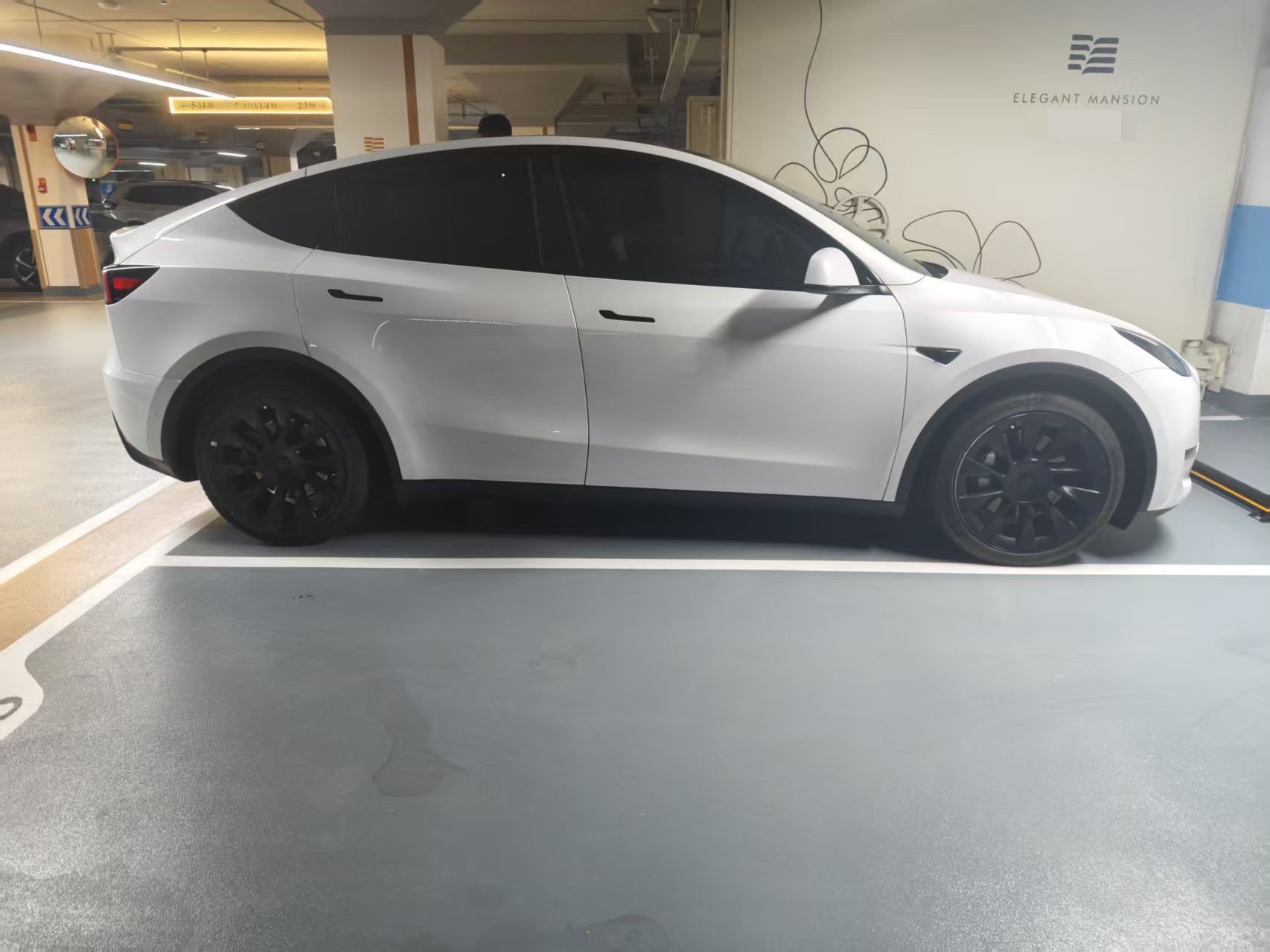 Tesla Model Y 2021 #7 Tesla Model Y 2021 car image #7