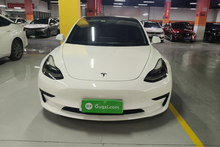 Tesla Model 3 2020 #3 Tesla Model 3 2020 car image #3