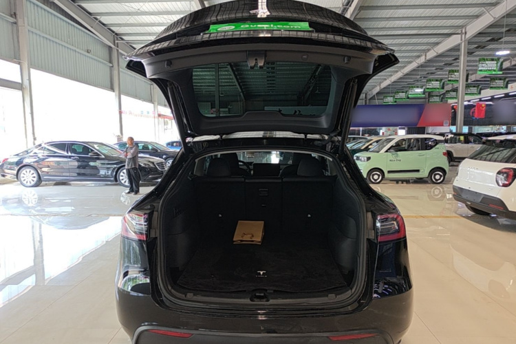 Tesla Model Y 2024 car image #19