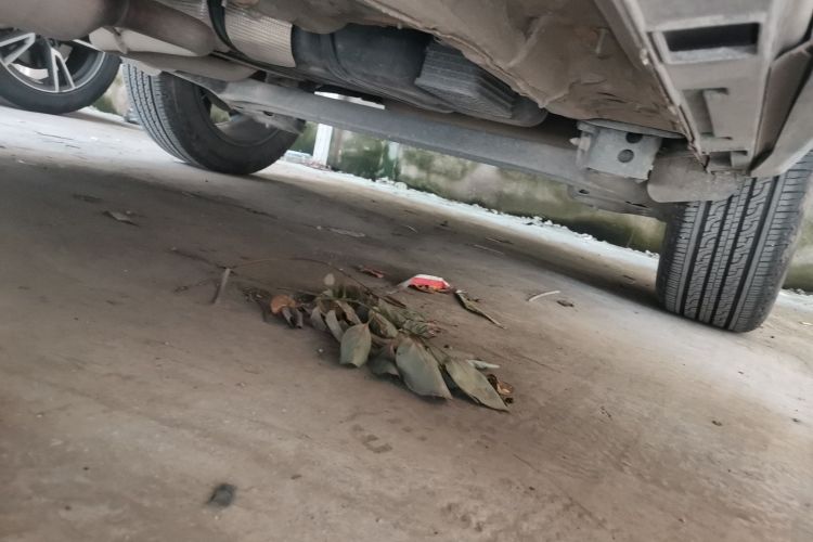 Kaiyi Showjet Pro 2025 image de voiture #27