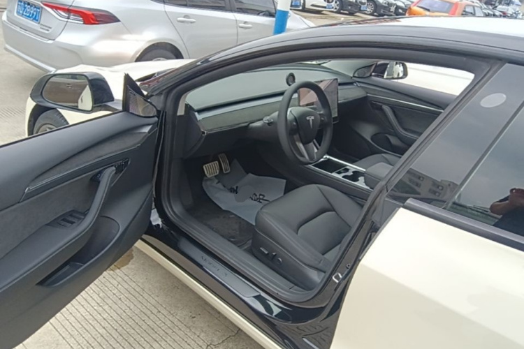 Tesla Model 3 2021 immagine di auto #16