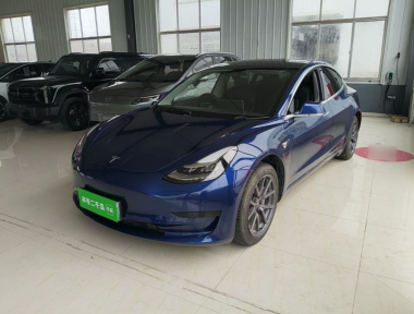 Tesla Model 3 2020 car image 
