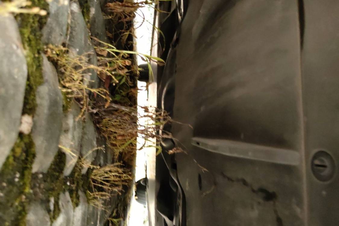 Tesla Model 3 2024 car image #14