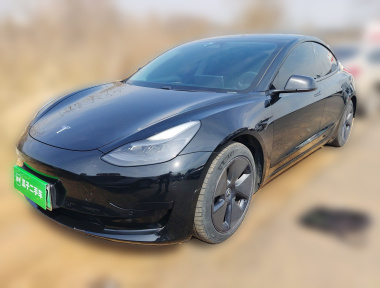 Tesla Model 3 2021 Tesla Model 3 2021 car image