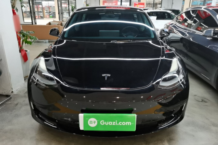 Tesla Model 3 2021 immagine di auto #3