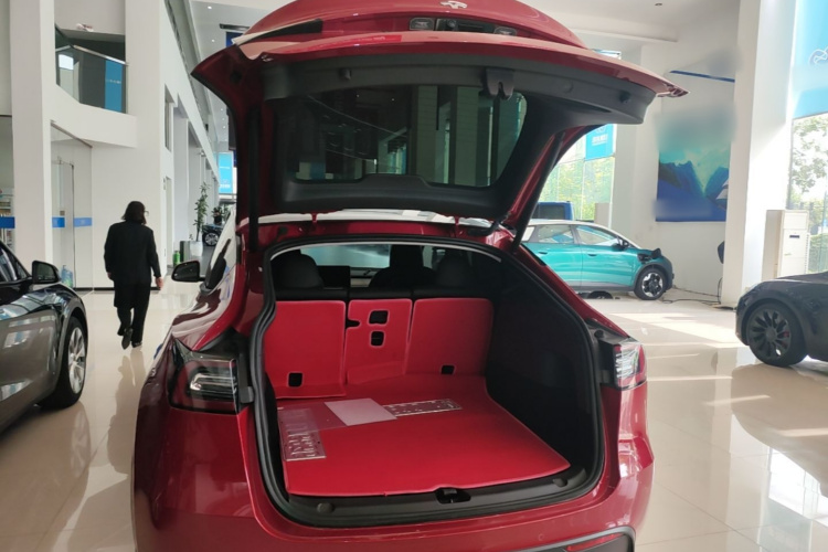 Tesla Model Y 2023 car image #19
