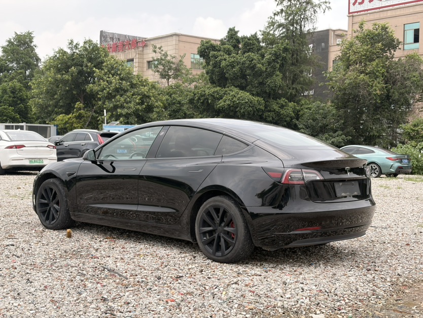 Tesla Model 3 2020 car image #6