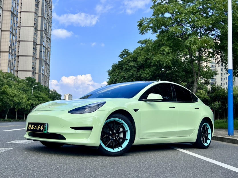 Tesla Model 3 2021 immagine di auto 
