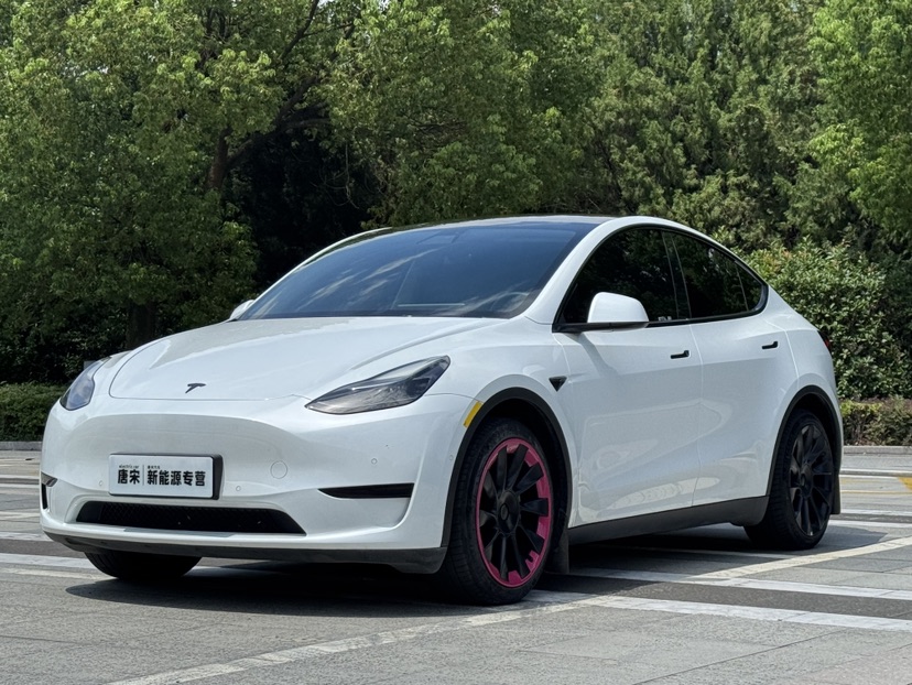 Tesla Model Y 2022 Tesla Model Y 2022 car image