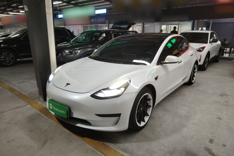 Tesla Model 3 2021 #2 Tesla Model 3 2021 car image #2