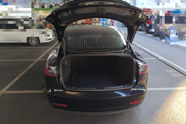 Tesla Model 3 2021 car image #19