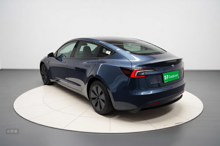 Tesla Model 3 2024 car image #5