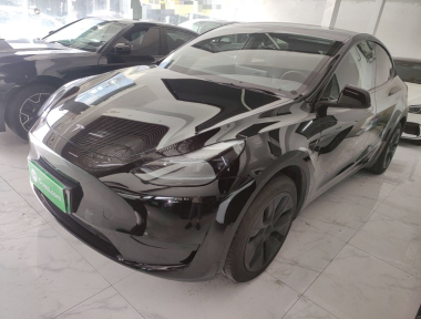 Tesla Model Y 2024 Tesla Model Y 2024 car image