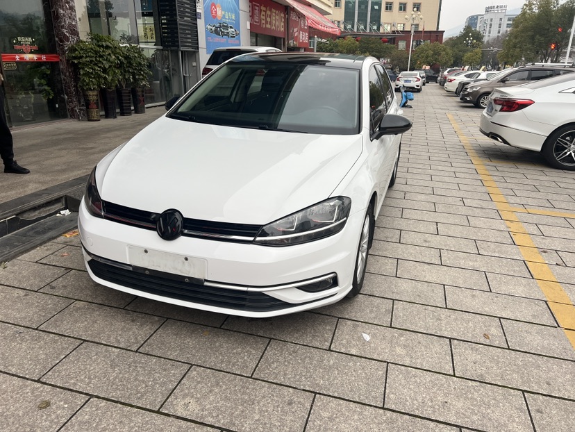 Volkswagen Golf 2019 Volkswagen Golf 2019 car image