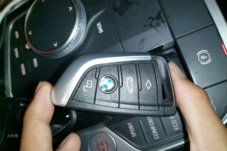BMW 3 Series 2020 car image #10